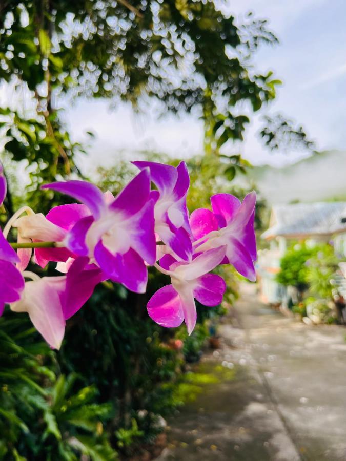 Suriyan Villa Erawan Kanchanaburi สุริยัน วิลล่า เอราวัณ กาญจนบุรี Tha Kradan المظهر الخارجي الصورة